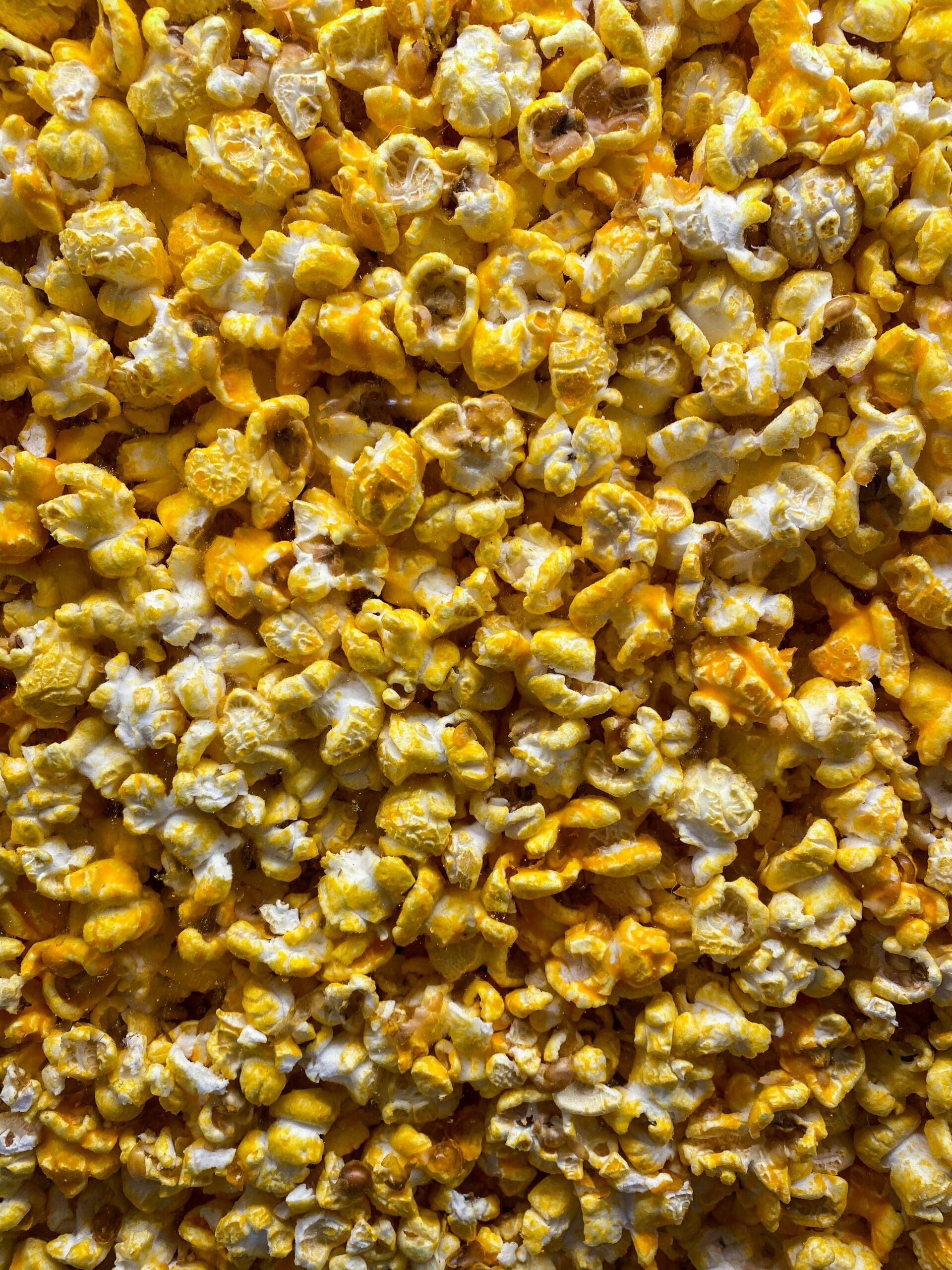 https://images.unsplash.com/photo-1766728904729-7051402dc1a6?fm=jpg&ixid=M3wxMjA3fDB8MHxwaG90by1yZWxhdGVkfDE1fHx8ZW58MHx8fHx8&ixlib=rb-4.1.0&q=60&w=3000