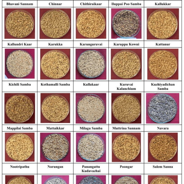 Traditional Rice Varieties
