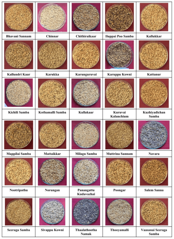 Traditional Rice Varieties