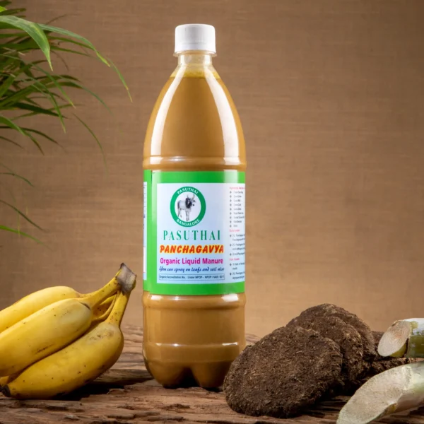 Panchagavya: Preparation, Uses, Dosage & Benefits in Organic Farming