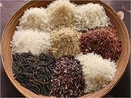 Traditional Rice Varieties