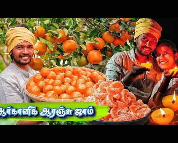 FARM FRESH ORANGE HARVEST | Orange Candle Light Dinner | Tamil Native Farmer