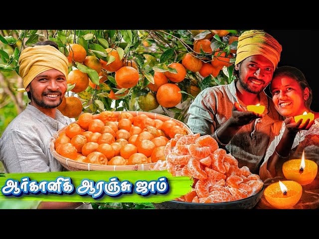 FARM FRESH ORANGE HARVEST | Orange Candle Light Dinner | Tamil Native Farmer